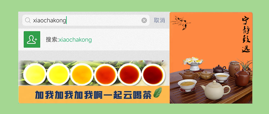 普洱茶纯料和拼配哪个好,普洱茶拼配的奥妙