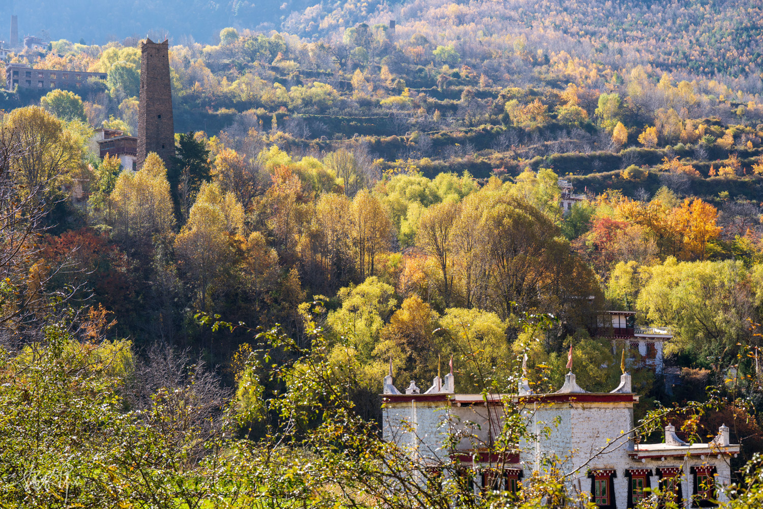 我的2022年度报告,我的2022原版