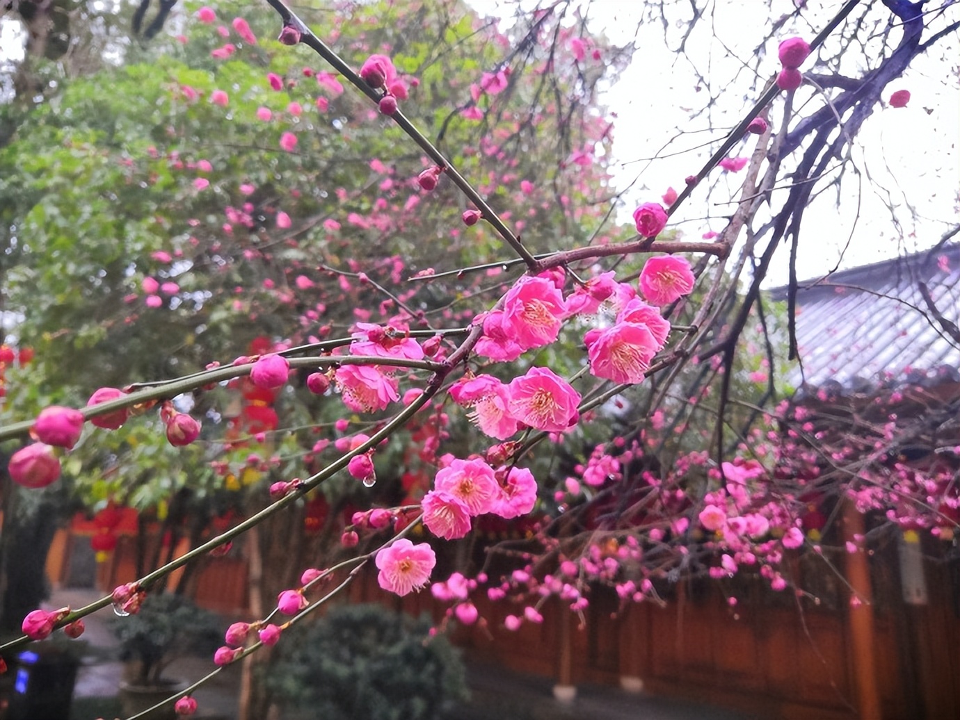 梦到亲人离世预示着什么,梦到已故的亲人往往预示着三件事