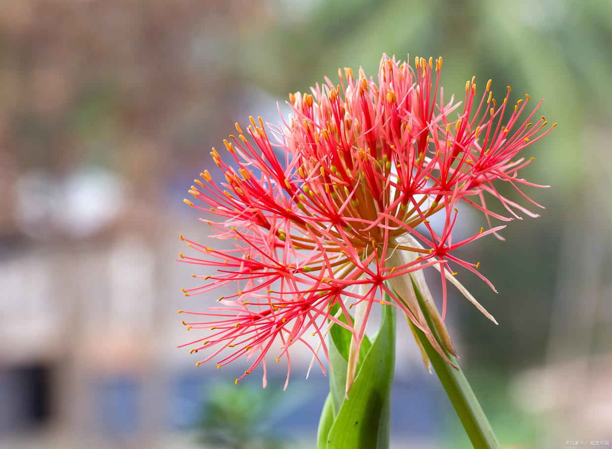 人的真爱,就是一个字“怕”,做到这三点,男人一定很优秀