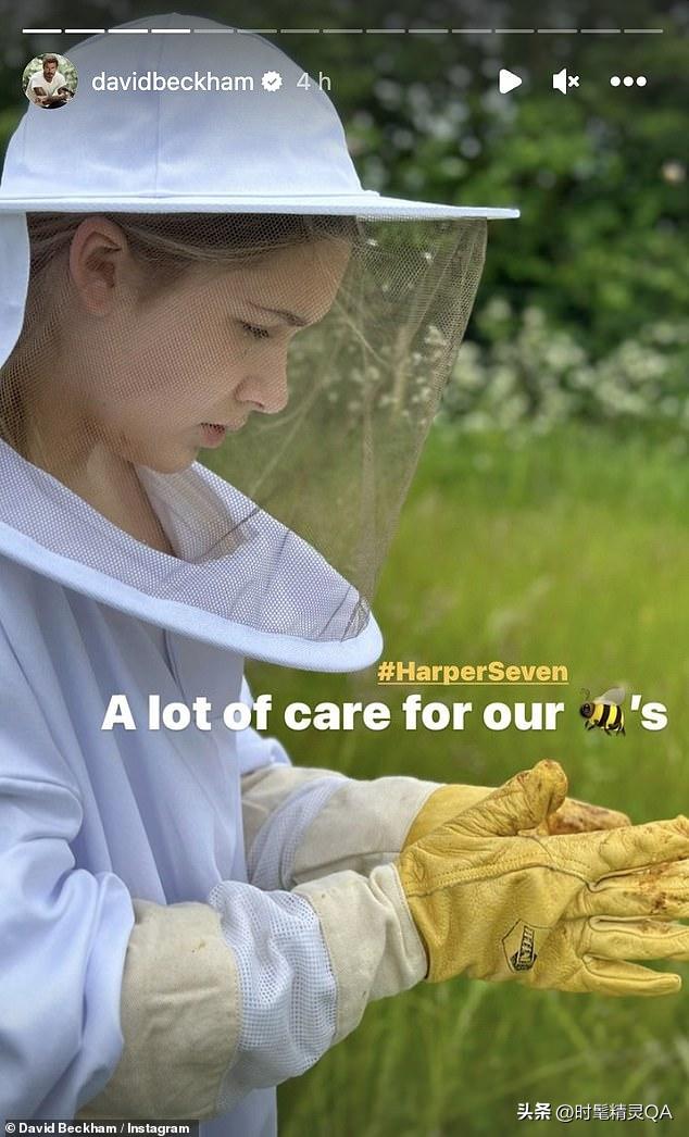 贝克汉姆自家农场,贝克汉姆家农场