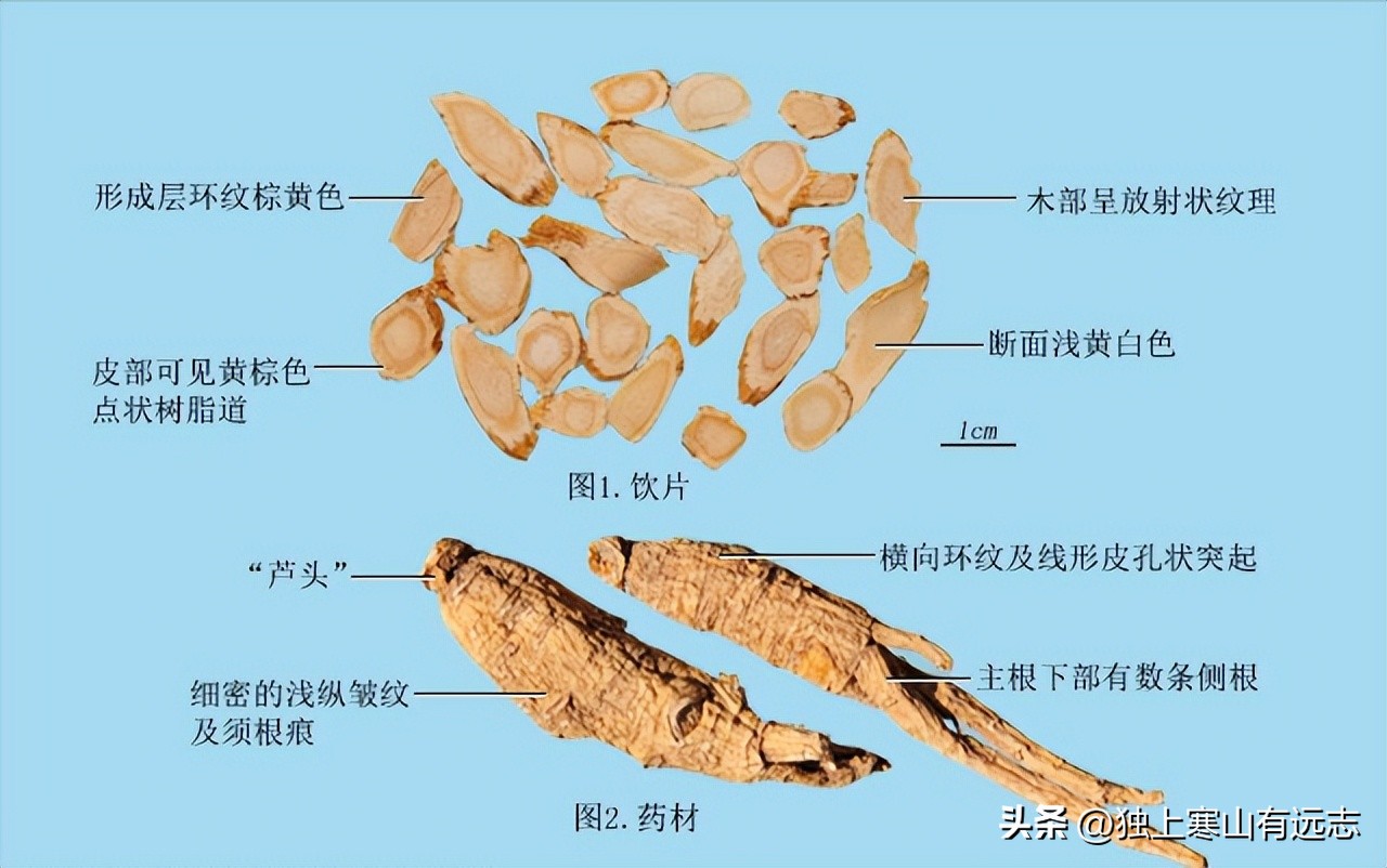 人参的种类和功效大全,人参第一名