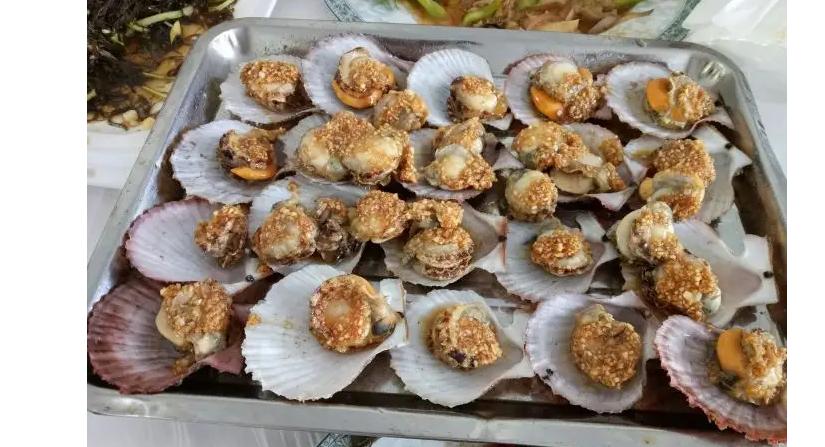 日照海洋公园海底世界门票,日照海洋公园海底世界适合老人