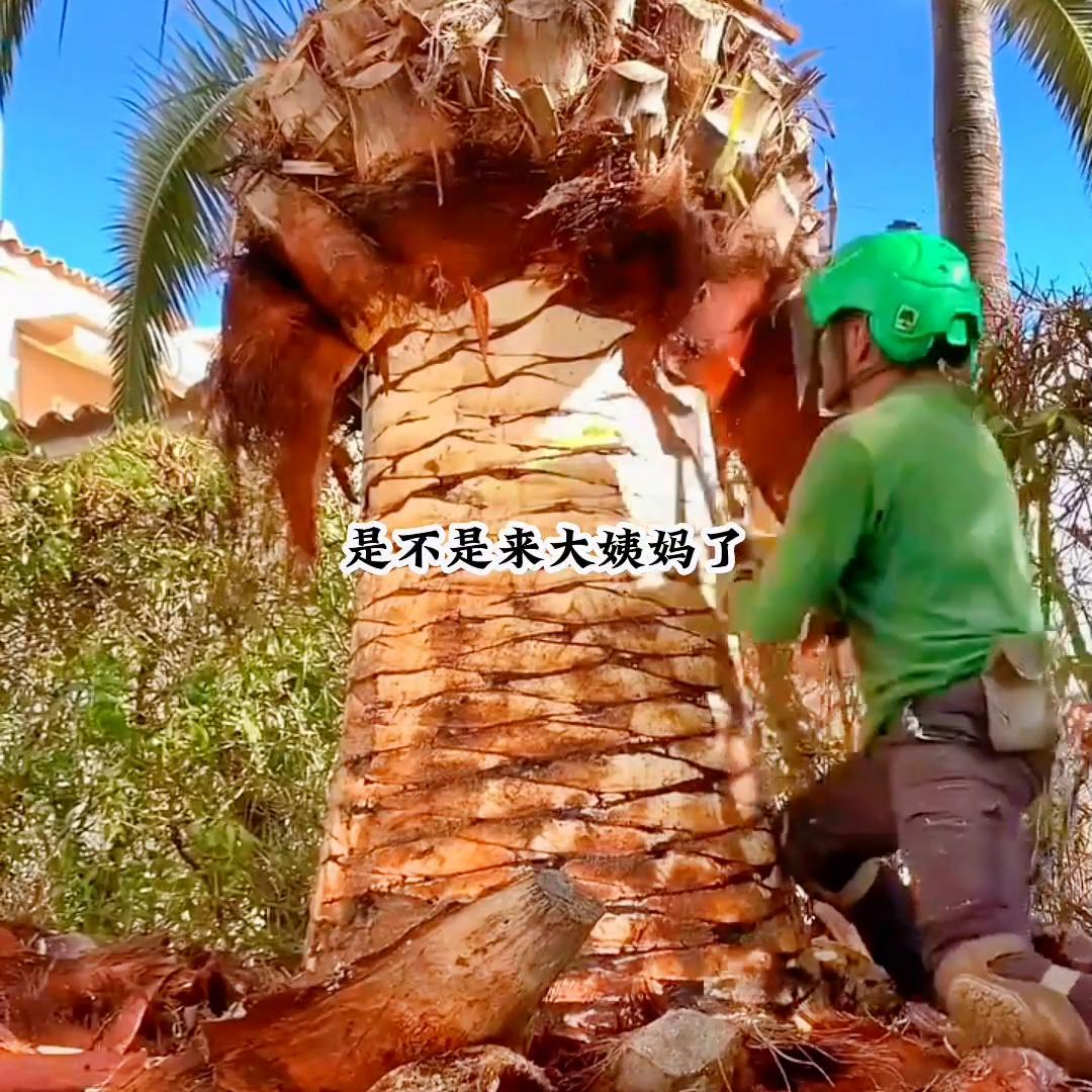 我穿成了po文女主她妈为了拯救她，我连夜让女主学了泰...