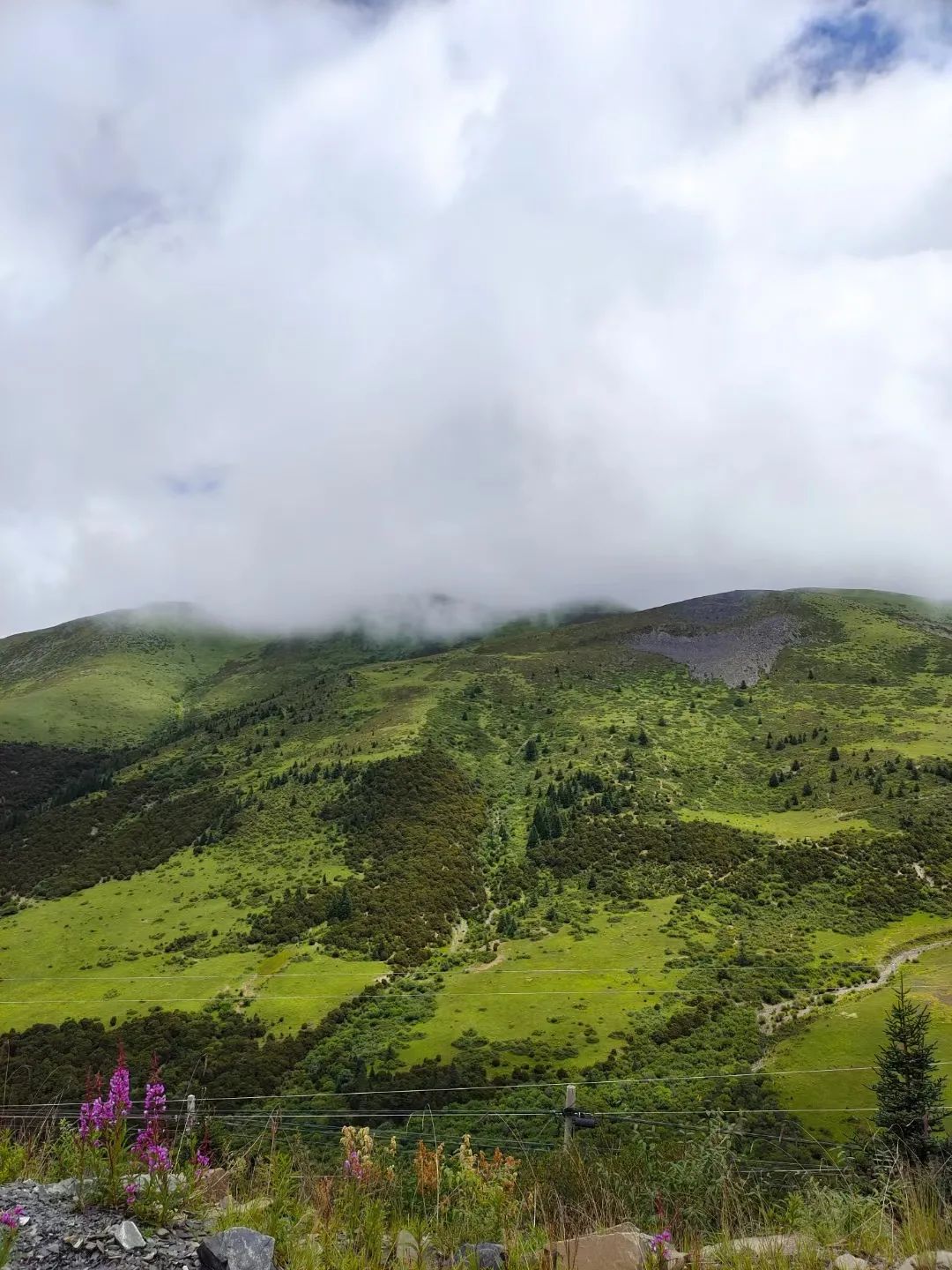 骑行西藏318全集,骑行318详细攻略