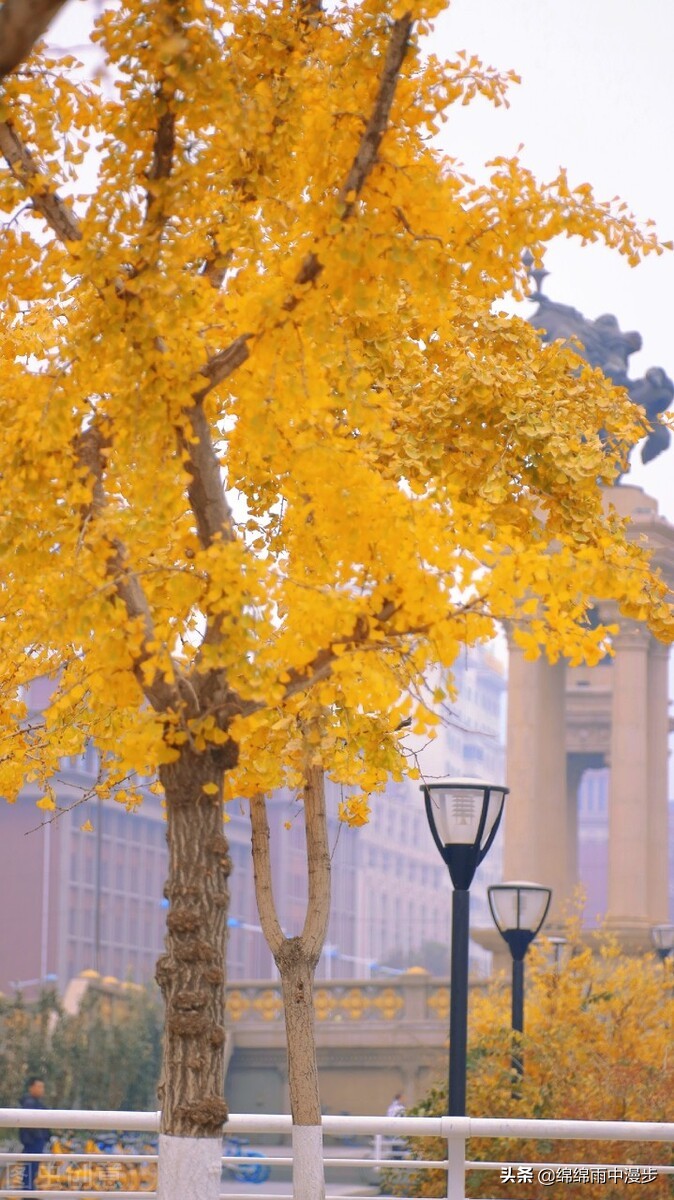 利顺德大饭店468房间,利顺德百年大酒店