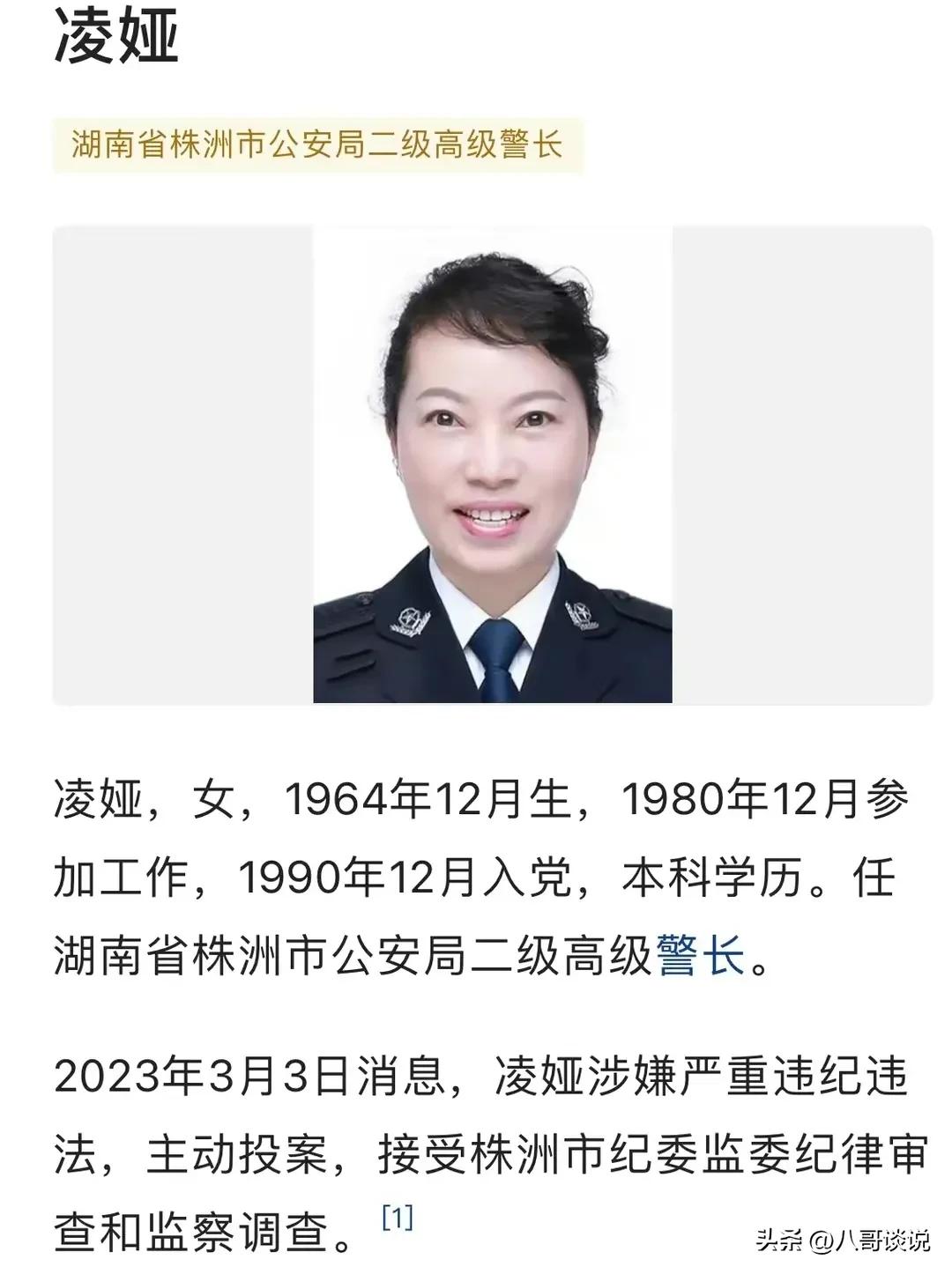 凌娅落网后，恶贯满盈的“太子奶”专案组浮出水面，个个身居要职