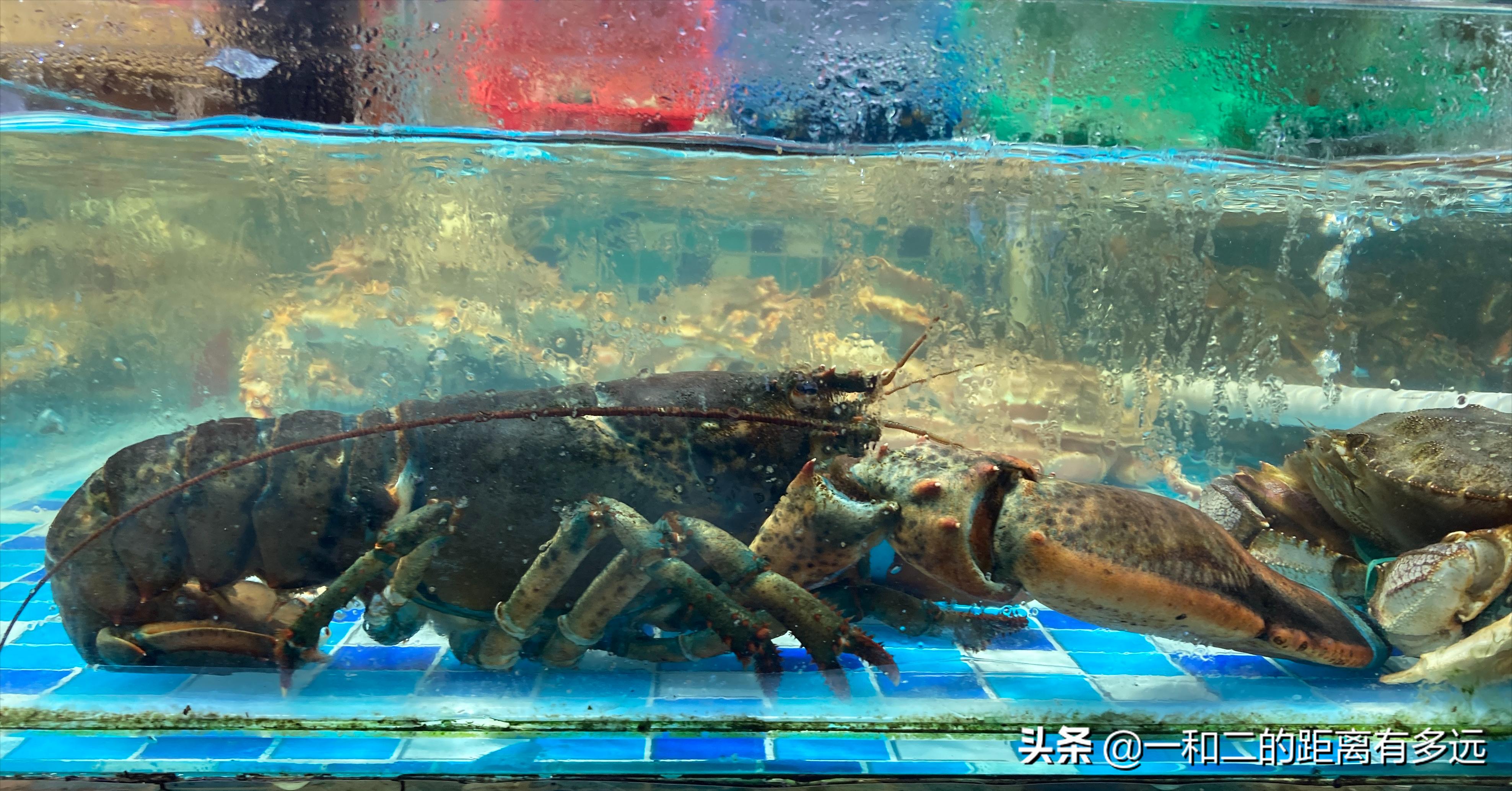 厦门自由行3天2夜完全攻略,厦门自由行完全攻略