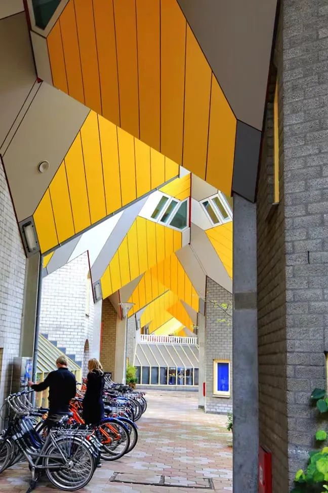 骑行荷兰人,骑自行车旅游达人