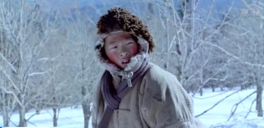 最近很火的00后明星,00后运动明星