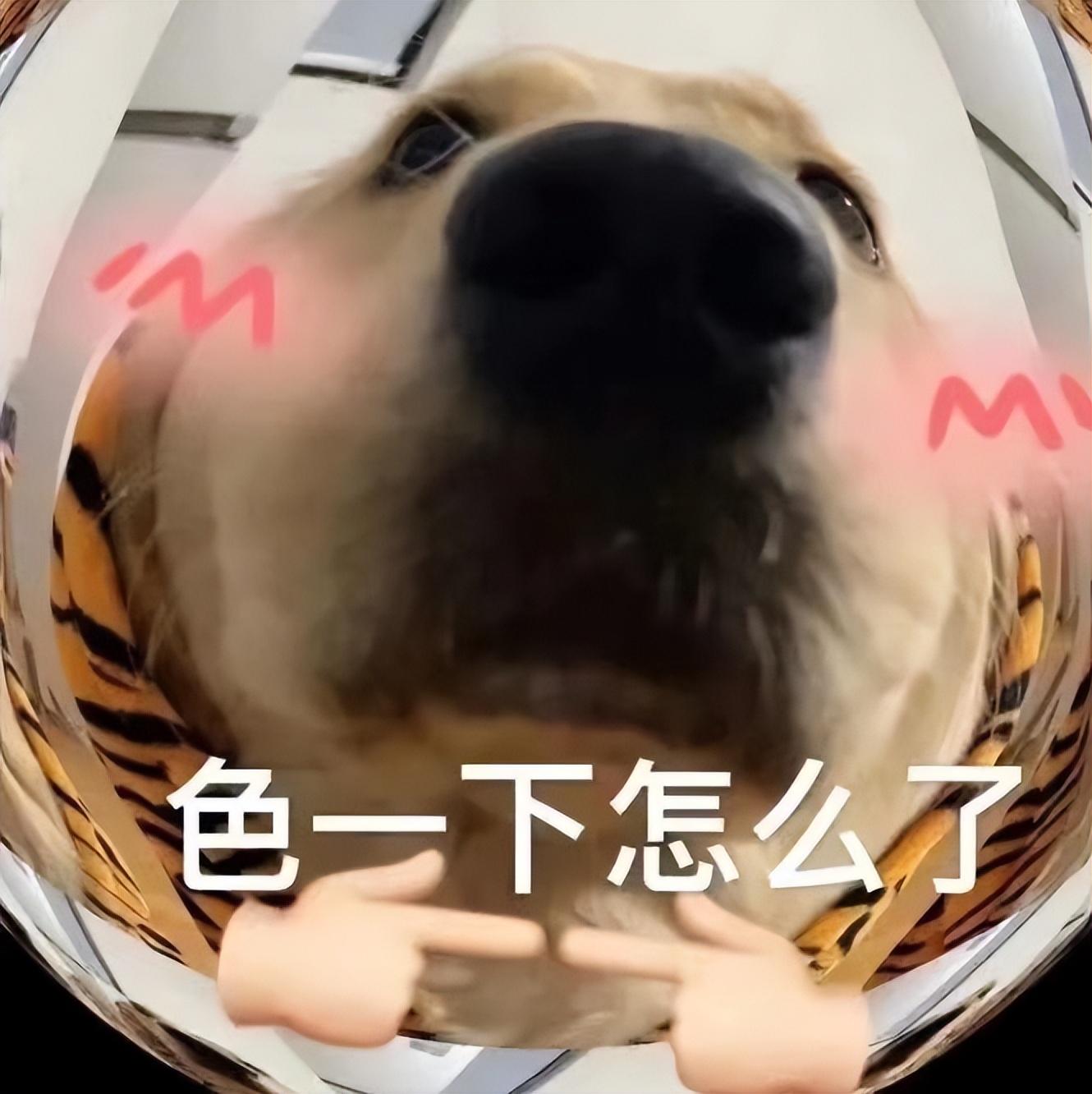 情人节要爱拒绝“艾”！这些“防艾”知识为你护航→