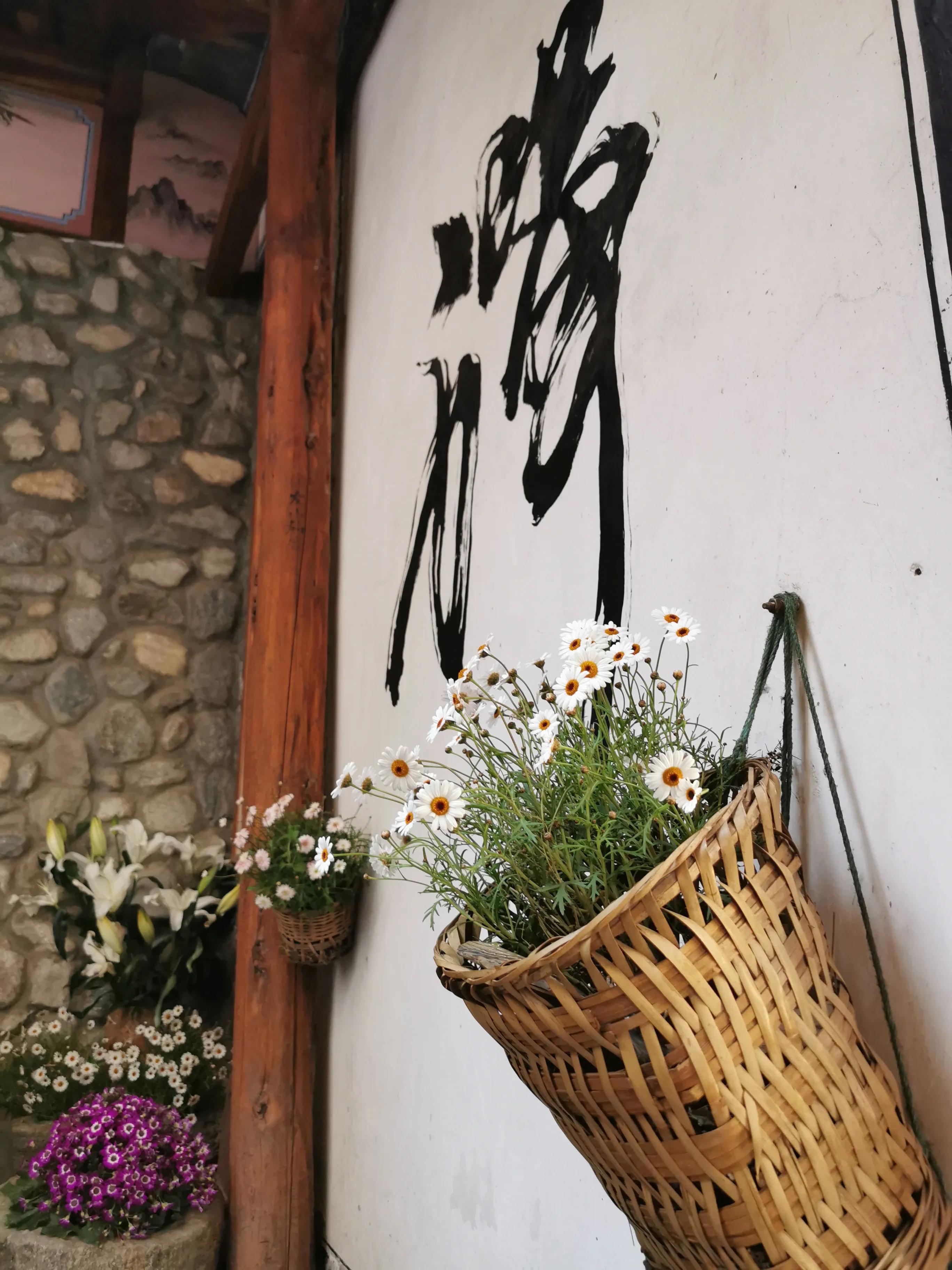 华为鸿蒙系统相机对焦模糊,华为p40pro升级鸿蒙后相机