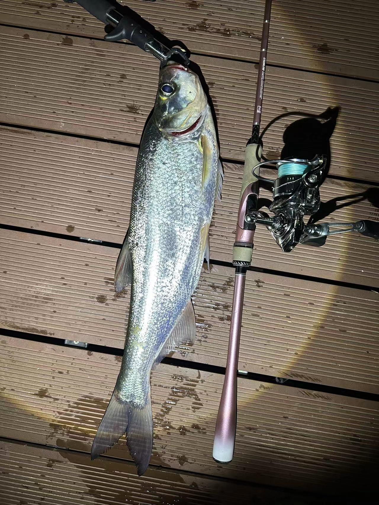 财务管理制度培训,财务管理制度培训ppt