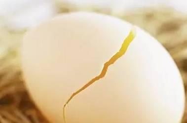 停止食用水洗蛋,水洗鸡蛋伤肝吗