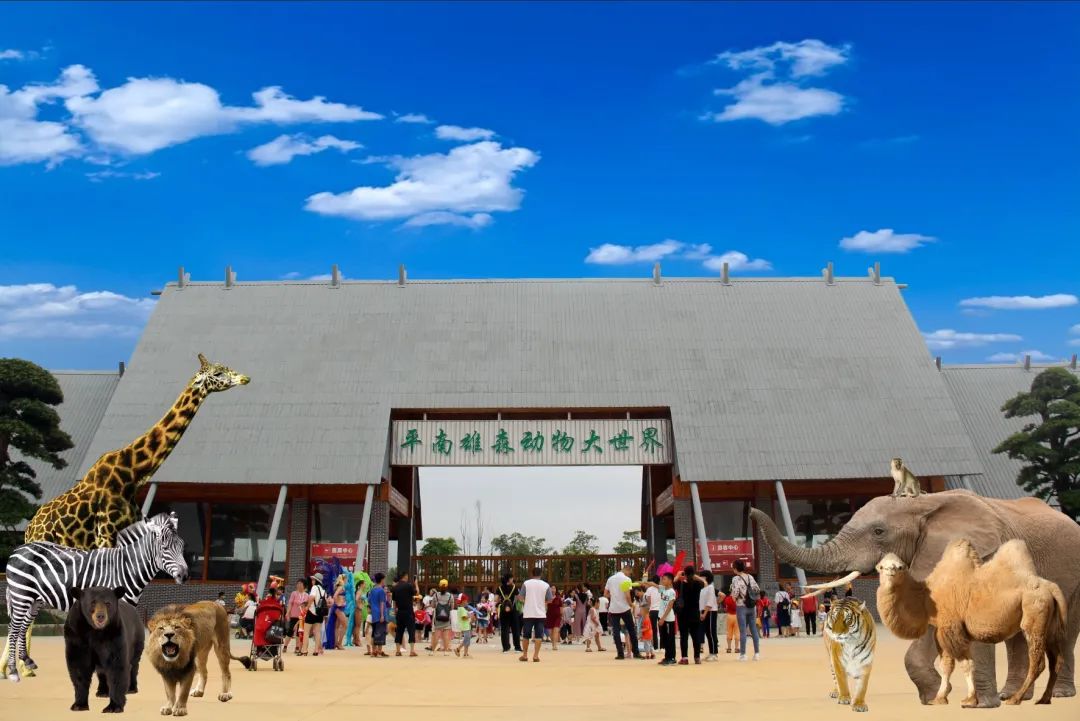 平南旅游攻略大全,平南大鹏北帝山最新旅游情况