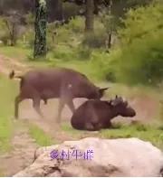 千年古城大美江西,千年古城美景