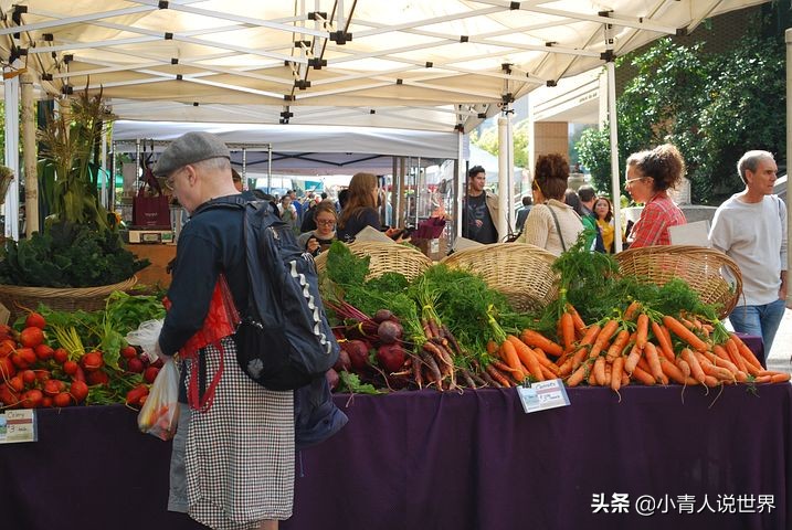 波特兰好去处,波特兰市区