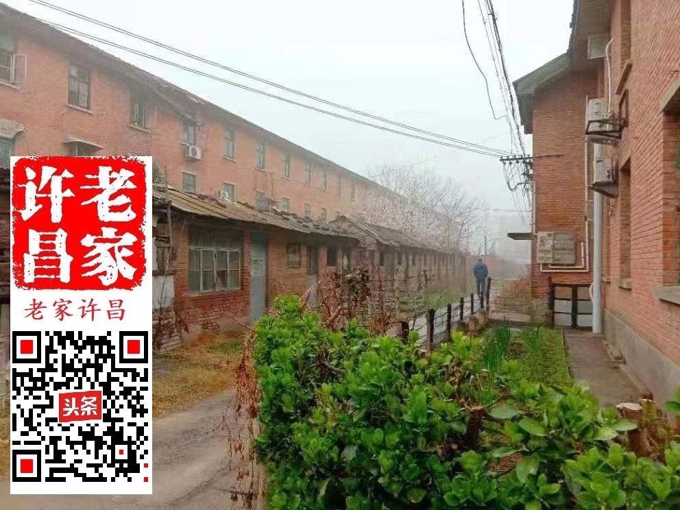 许昌126厂,许昌126厂规划