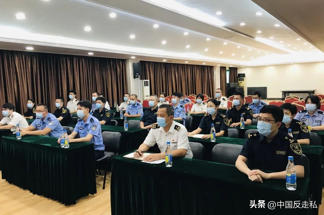 湛江海关缉私局走私最新新闻,湛江海关缉私事件