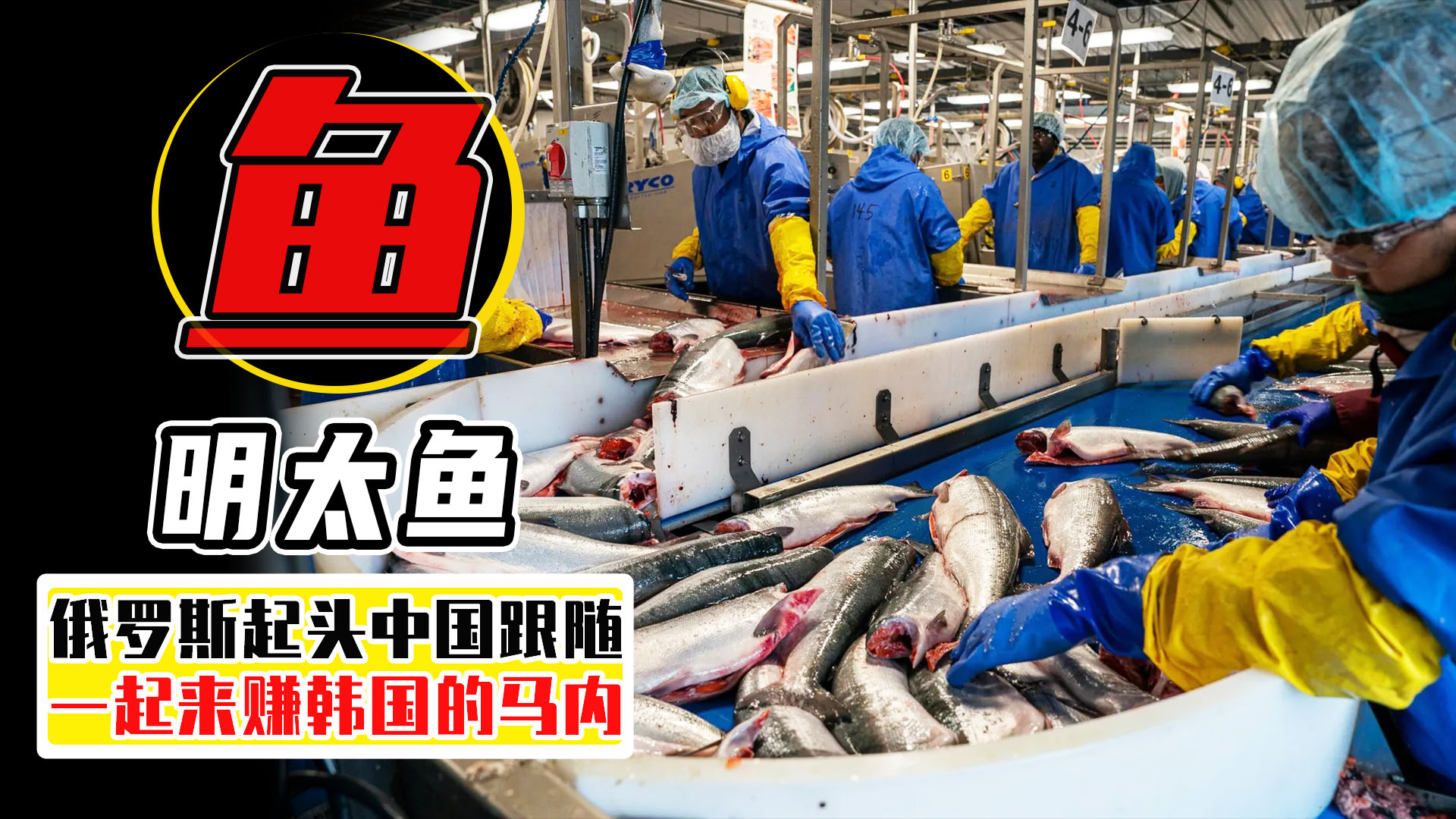 俄罗斯还往中国进口冷冻明太鱼吗,俄罗斯明太鱼为何出口中国