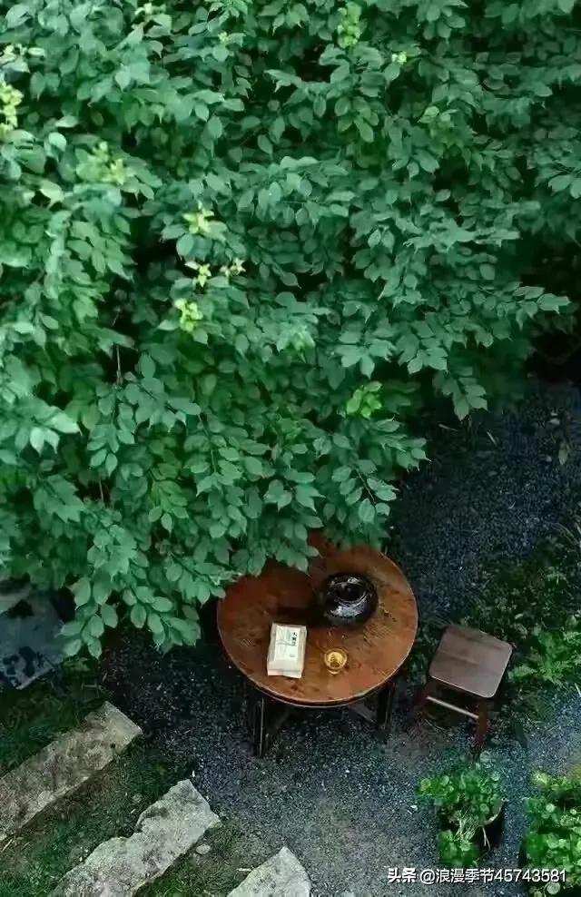 轻捻岁月的沉香，守一份时光的云淡风轻！「散文」