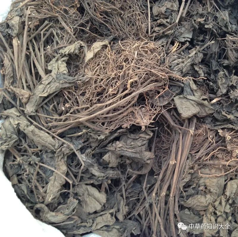 中药四块瓦的配方,中药四块瓦都有哪些用途