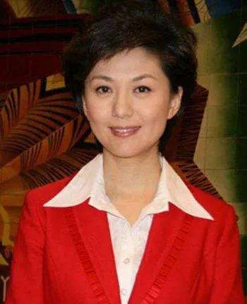 央视新闻联播女主持人海霞,央视主持人海霞气质照片