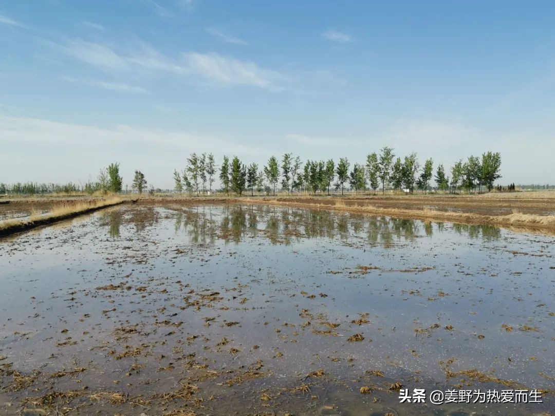 螃蟹怎么养才认人,养螃蟹的十大忌讳