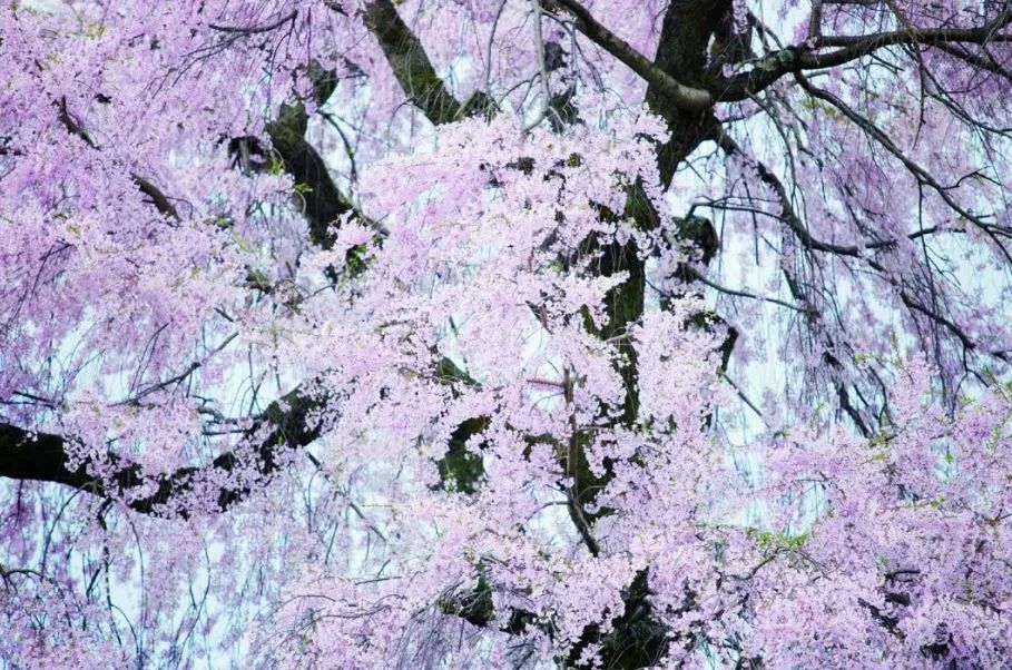 在无情的世界里有情的活着,在无情的世界里有份牵挂