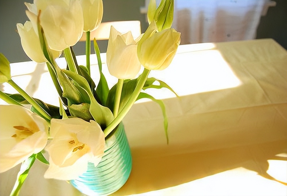 朋友圈说说配图简单干净,失眠的说说发朋友圈短句干净