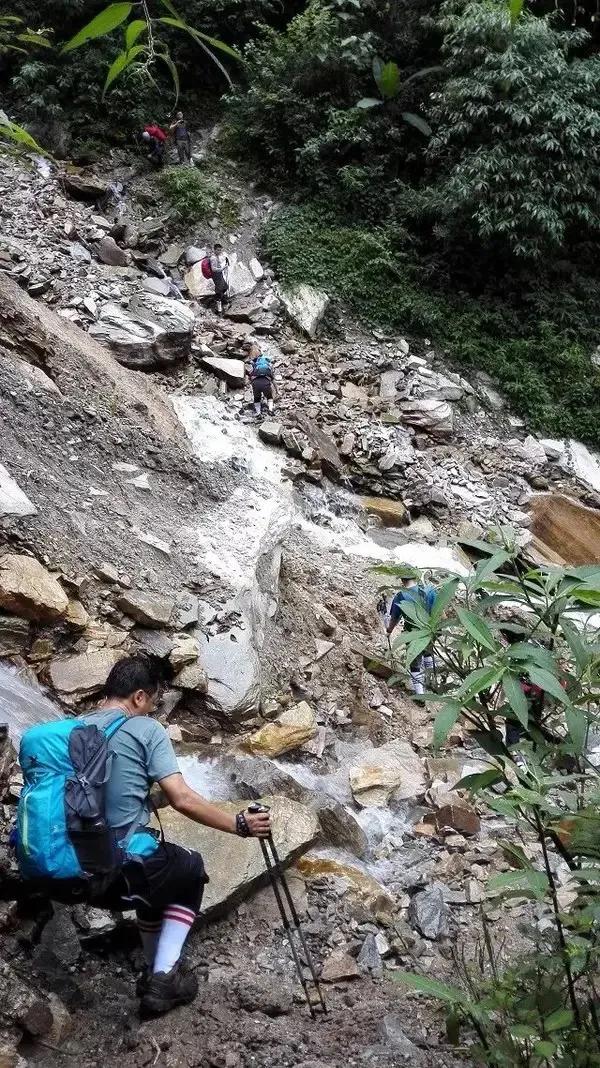 墨脱秘境的蚂蝗山图片,墨脱蚂蝗怎么对付