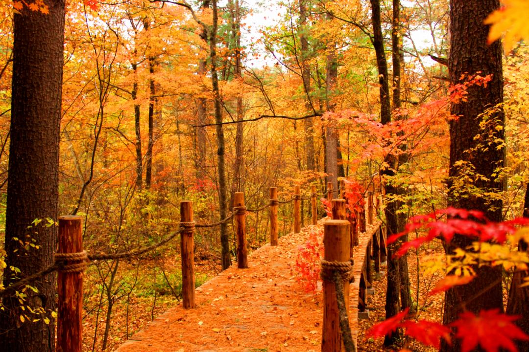 全国三大研学示范营地,三所基地