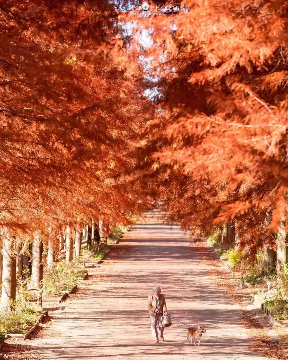 桂林美女拍照,桂林美女导游