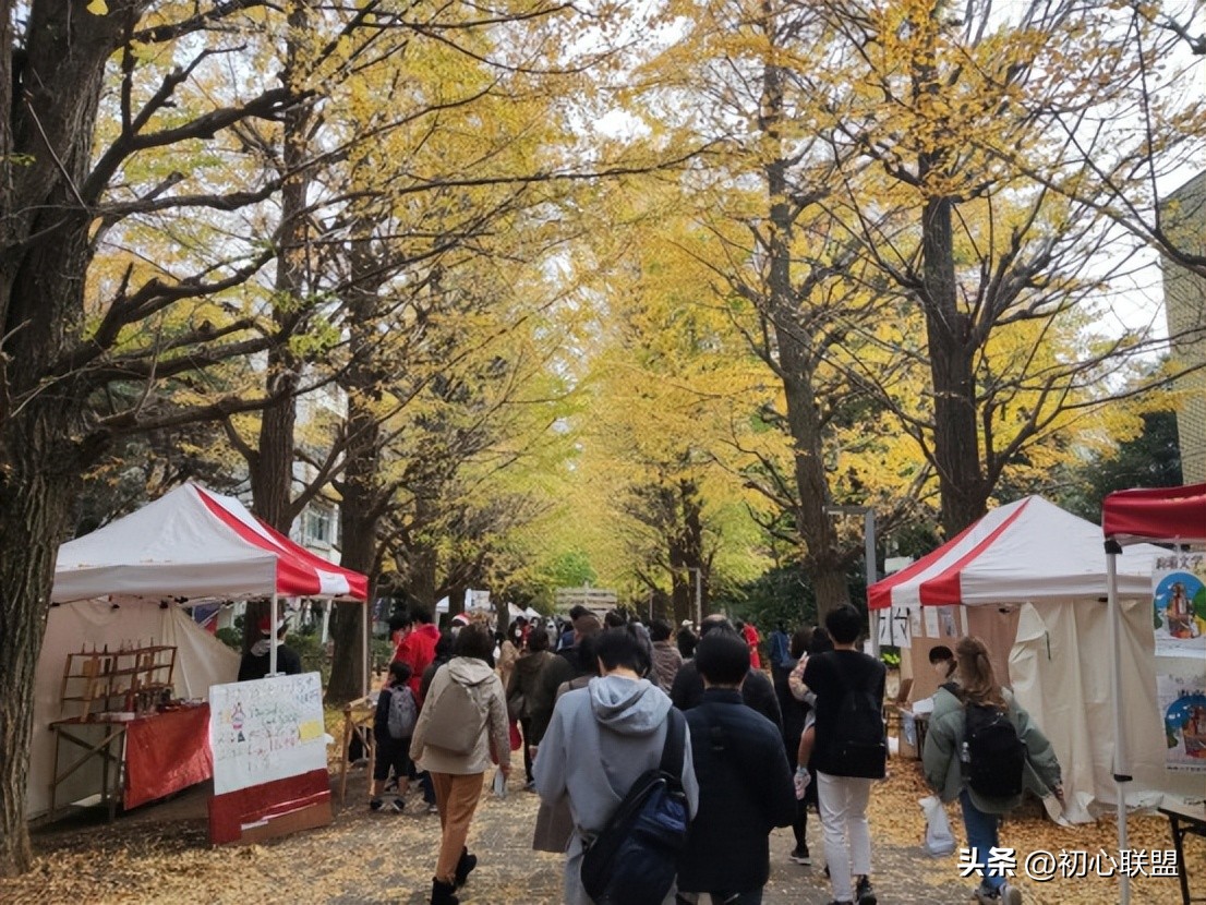 日本东京大学留学回国,日本东京大学本科交换生