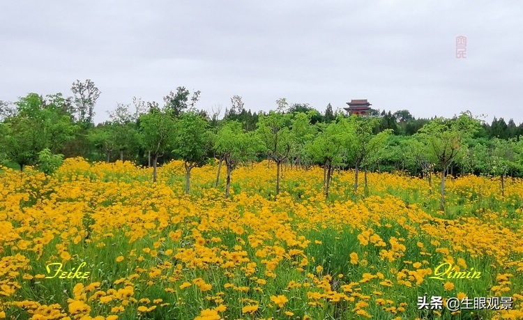 淄博花山公园好看吗,推荐一个好地方淄博花山公园