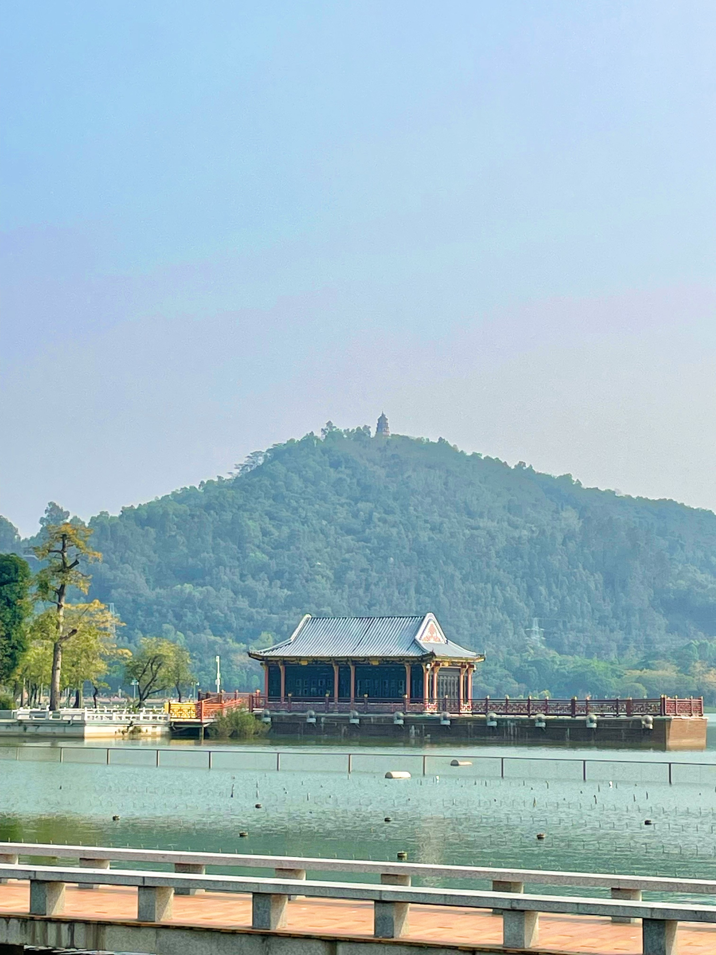 顺德渔人码头游玩攻略,顺德游玩攻略景点大全