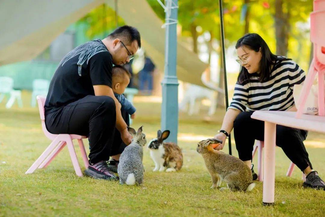 金坛非遗体验,非遗研学沉浸式体验非遗魅力