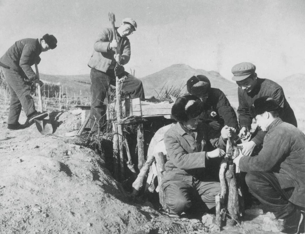 在日本打黑工十五年现状,中国父亲在日本打黑工15年纪录片