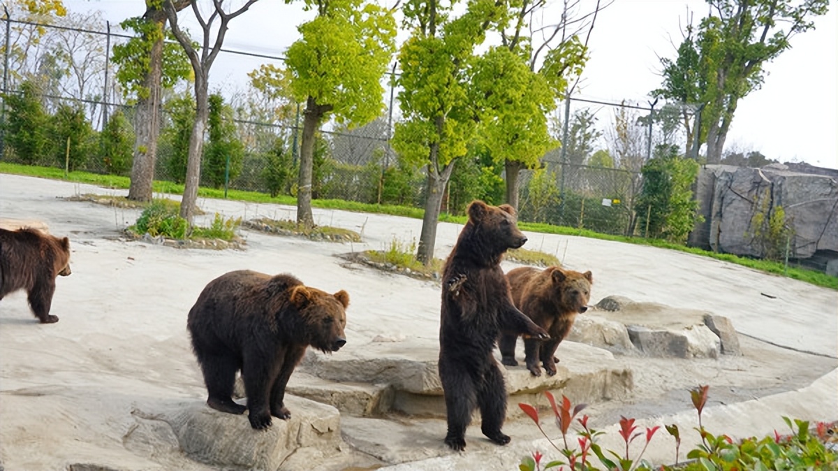 在江苏的“绿林仙海”中，寻找侠气与柔情