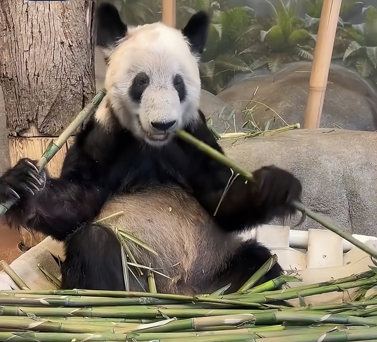 【法治热点早知道】网传人贩子“梅姨”落网？警方回应