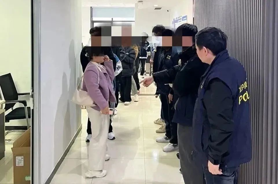 视频全网vip靠谱吗,视频号vip有什么作用