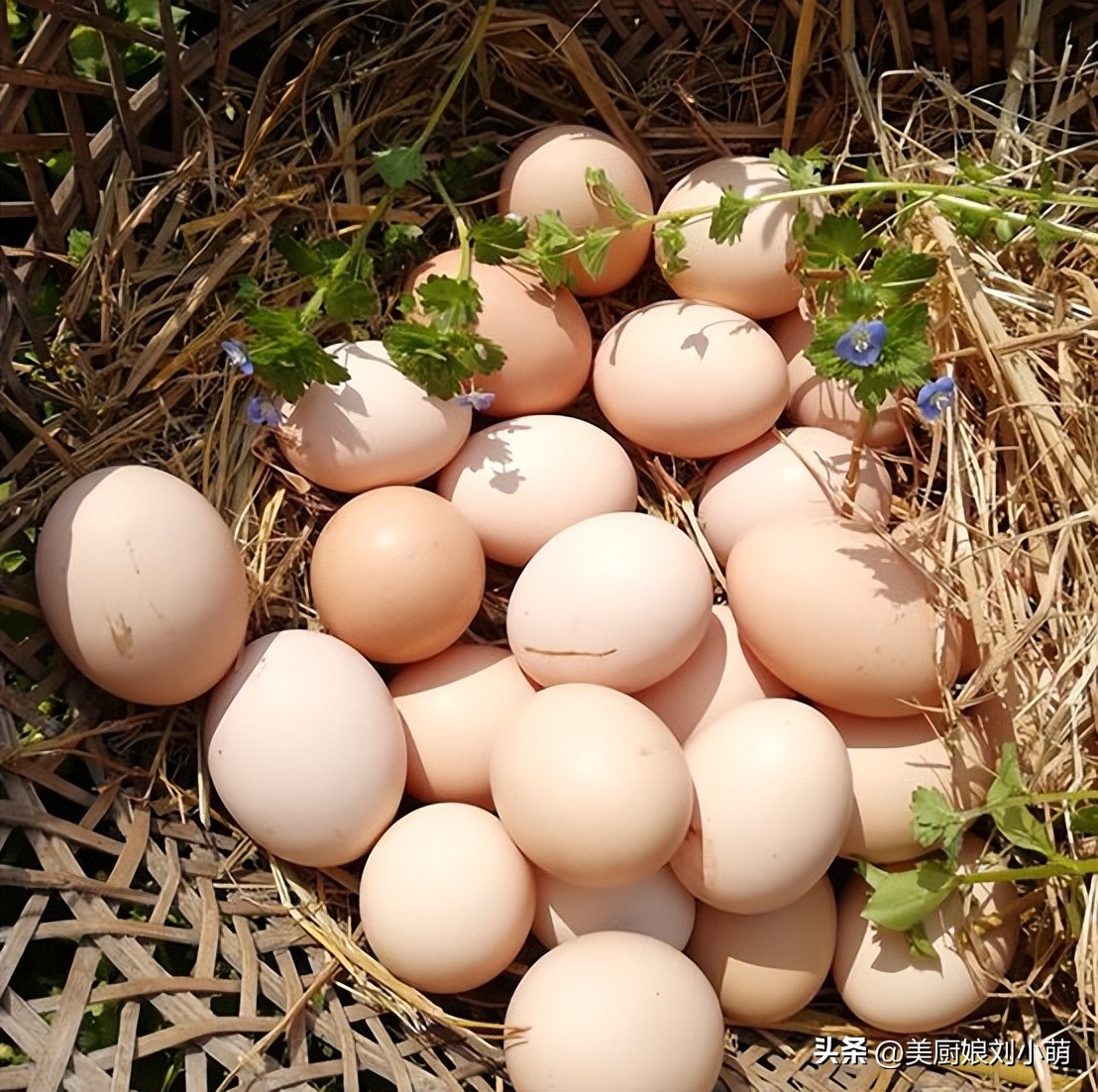 下周冬至，建议中老年人：家中常备这4样，精神饱满平安过节
