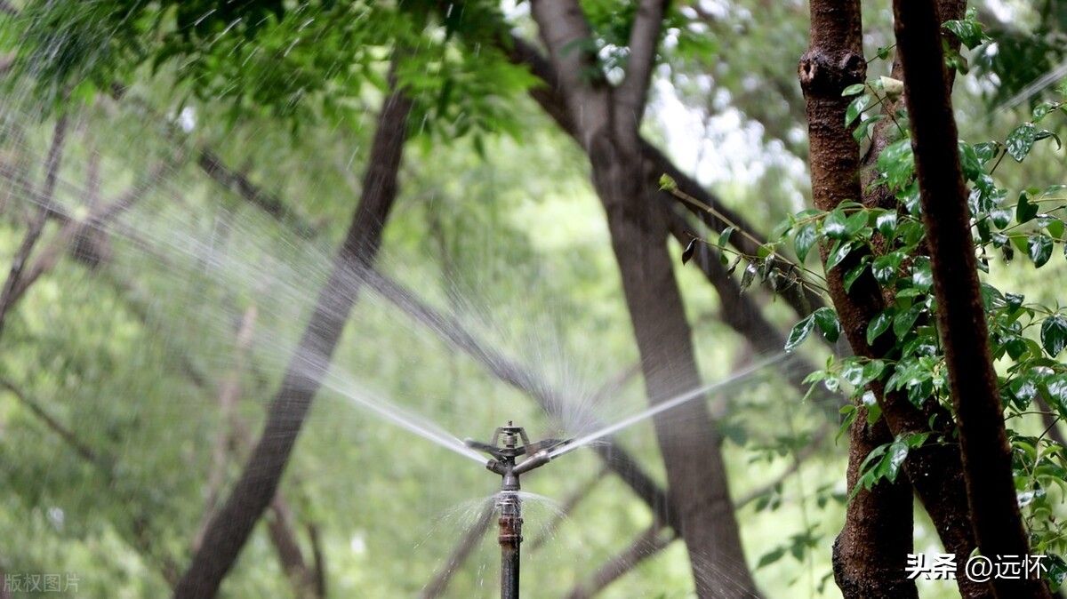 饱和蒸气压是什么,什么是饱和蒸发压