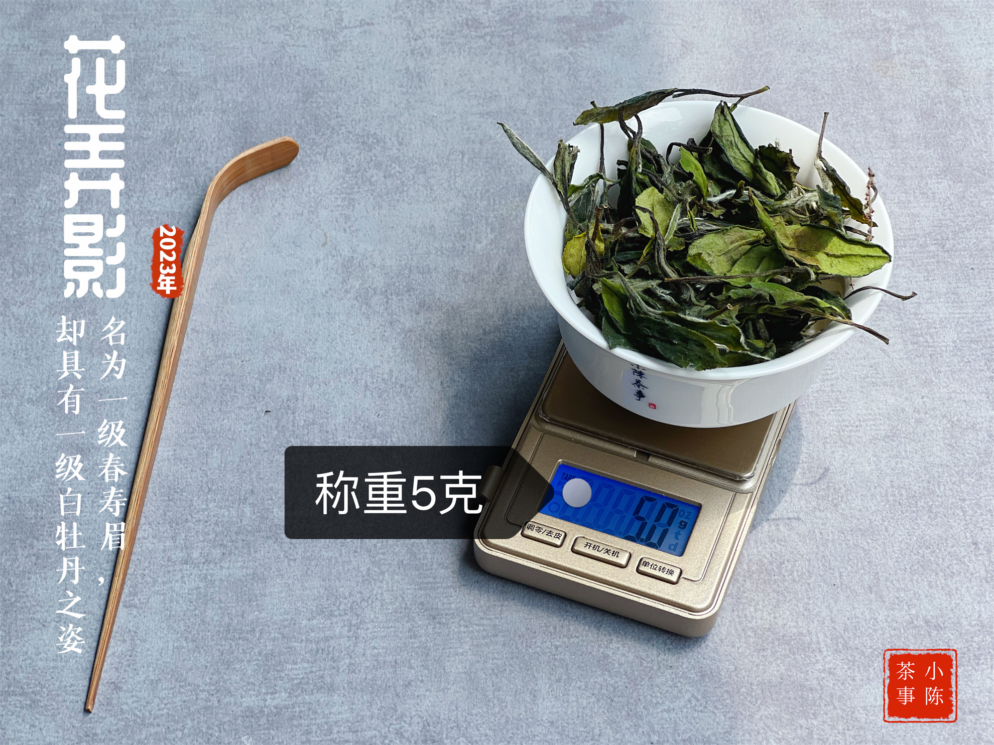 100克白茶400元,100元以内的白茶推荐