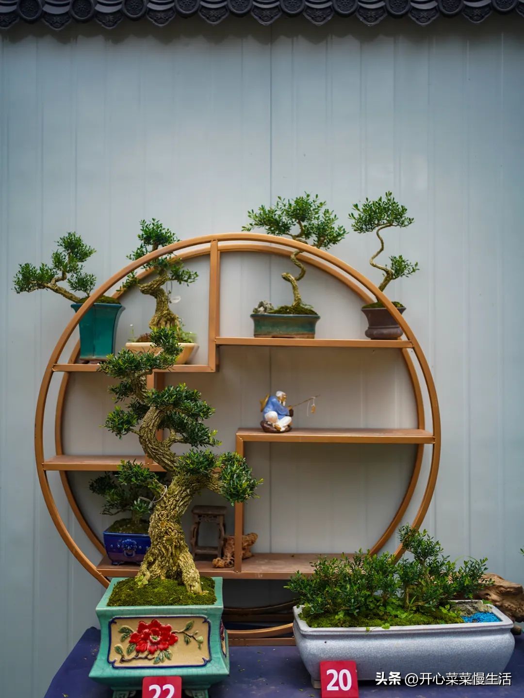 广东普宁有个万花园，由68座小花园组成，编织了农民美丽之梦