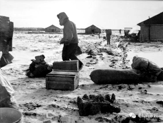 北大荒知青生活叙事诗——北大荒“游击词”100篇