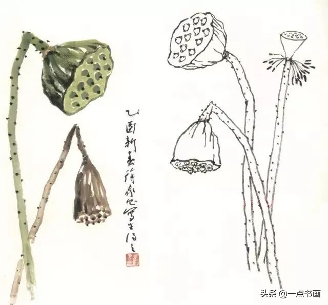 鍥界敾鑽疯姳鐢绘硶瑙嗛,娉煎ⅷ鑽疯姳鐢绘硶瑙嗛