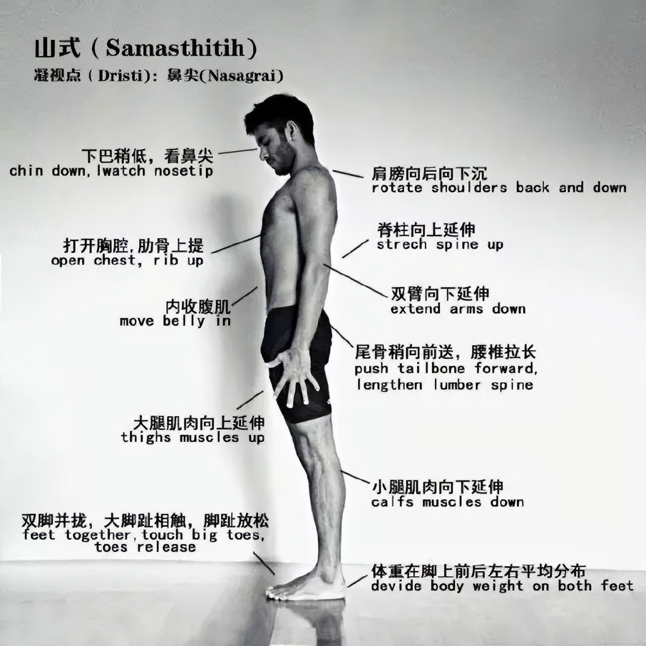 奇怪的冷知识你学会了吗,山式是瑜伽站姿的基础体式