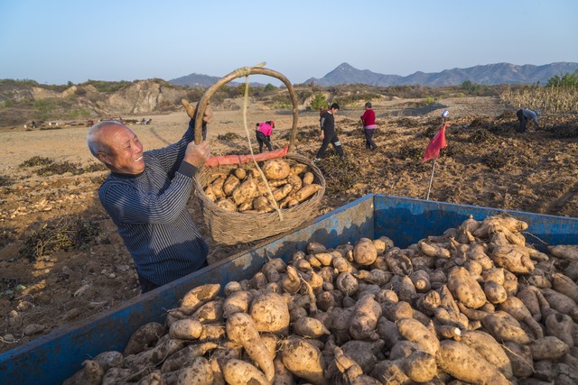 我走在前头，你们可咋办？70岁老人对95岁脑梗母亲和婆婆无奈哭诉