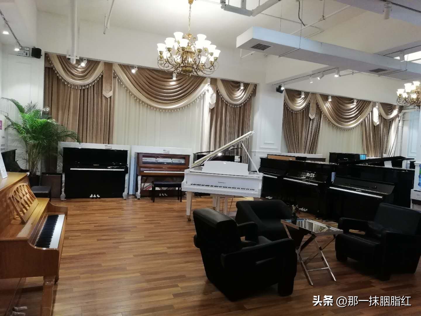 两三万预算买什么钢琴？郑州琴行钢琴专卖店热销品牌推荐买琴必看